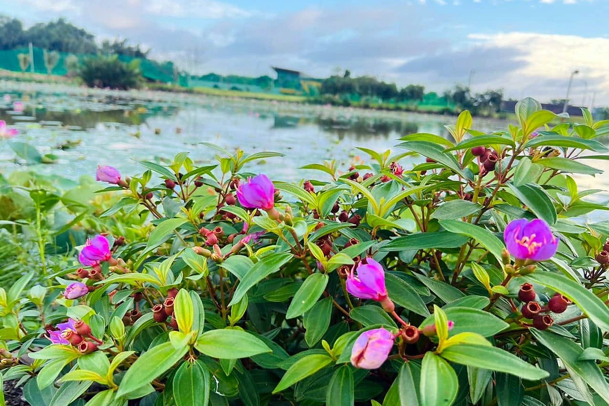 Ảnh minh hoạ: Ngày golf doanh nghiệp